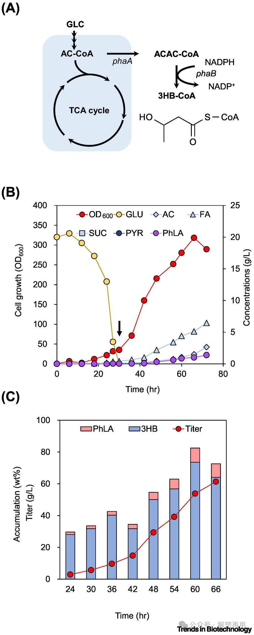 1725248316683440.png 07.png