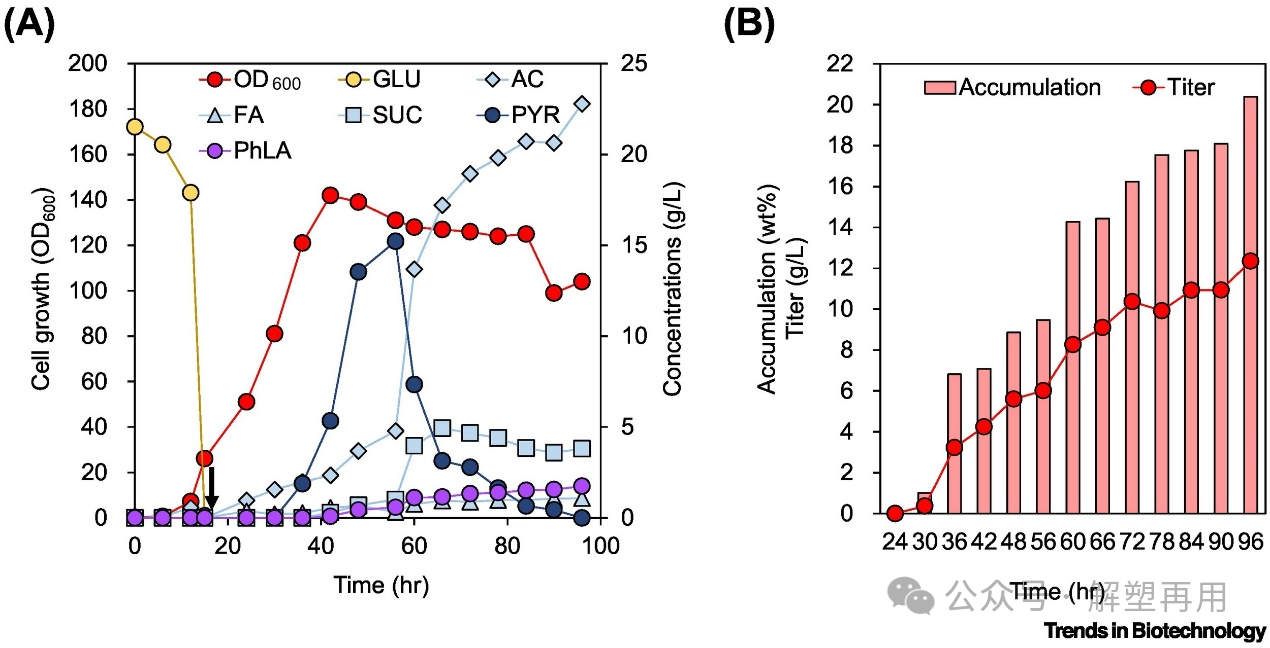 1725248327961925.png 06.png