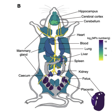 1728722523575368.png 02.png