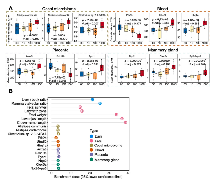 1728722539132956.png 03.png