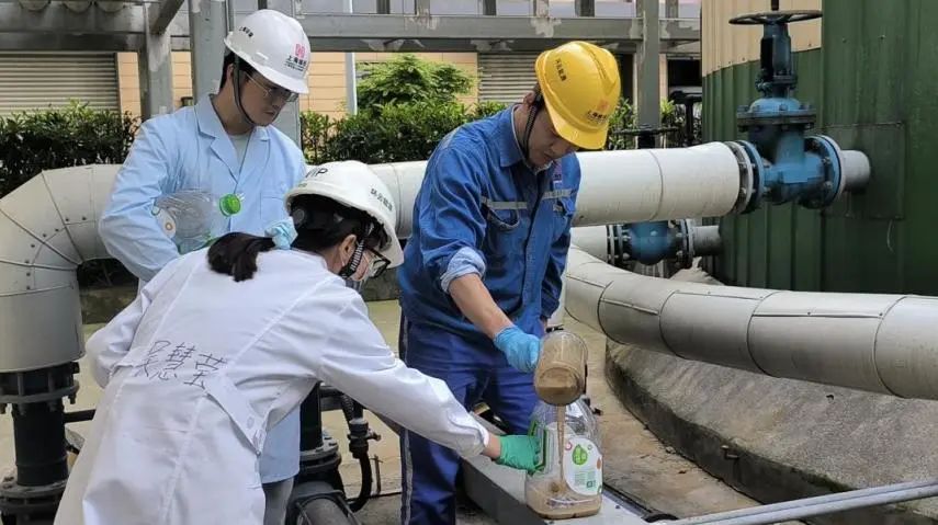 1730187450545170.jpg 03.jpg