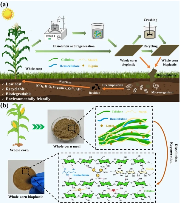 1732171503500377.png 01.png