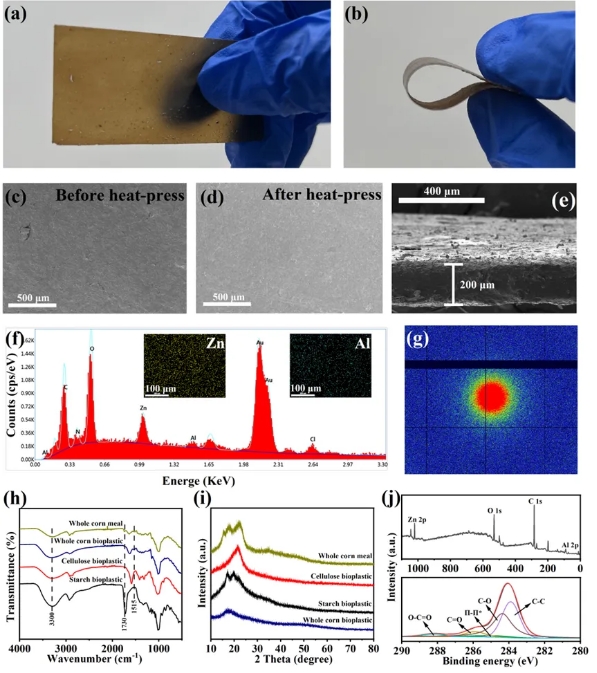 1732171531710554.png 02.png