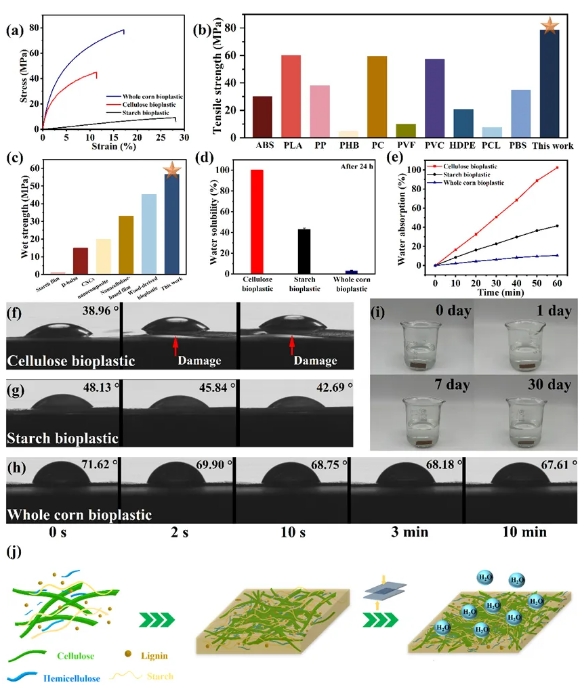 1732171552704188.png 03.png