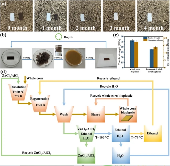 1732171576393413.png 04.png