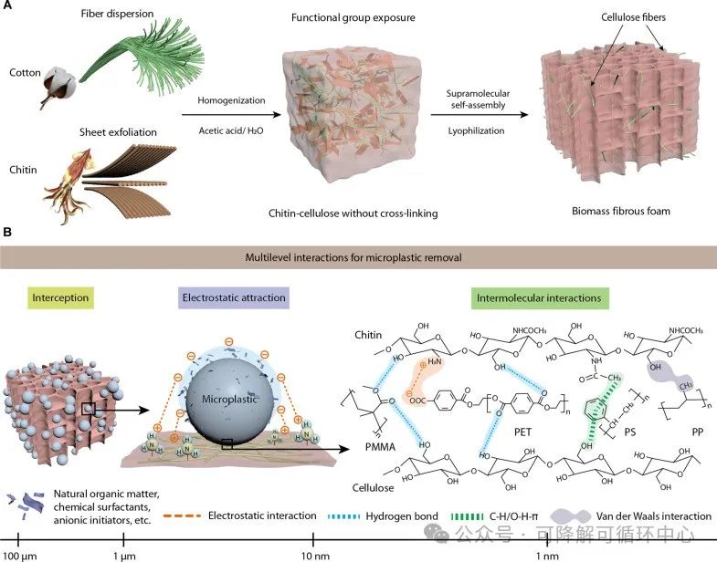 1733284690602934.jpg 01.jpg