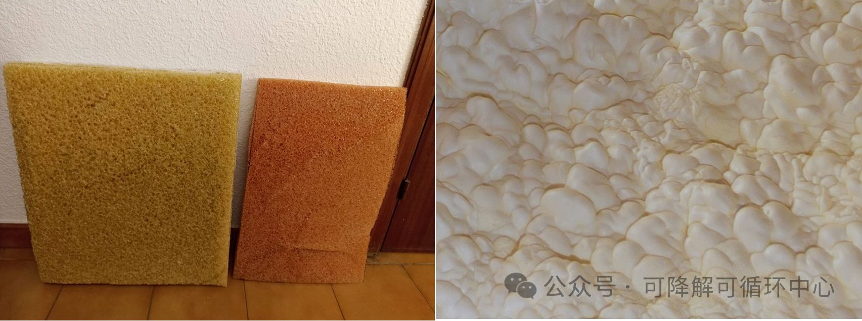 1733380557323373.png 02.png