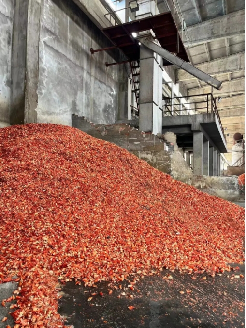 1733465598917811.png 02.png