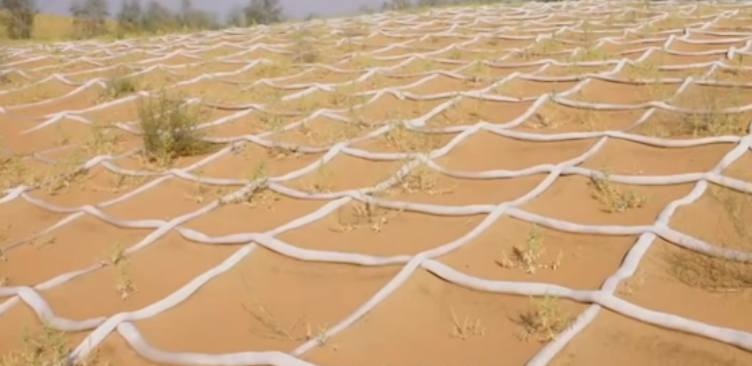 1733711175205094.png 01.png