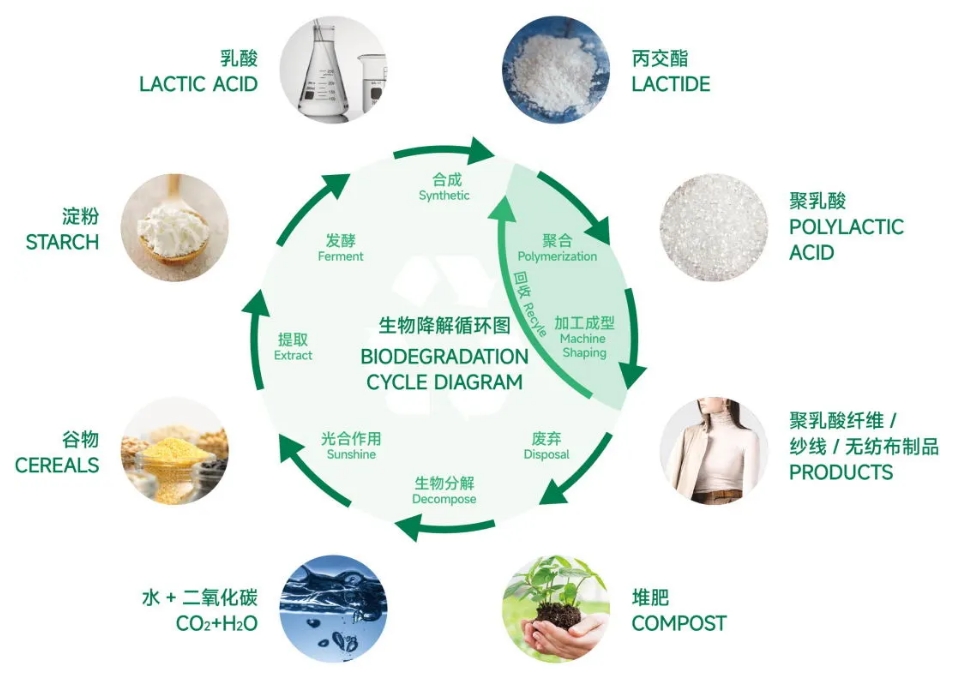 1733711203820425.png 03.png