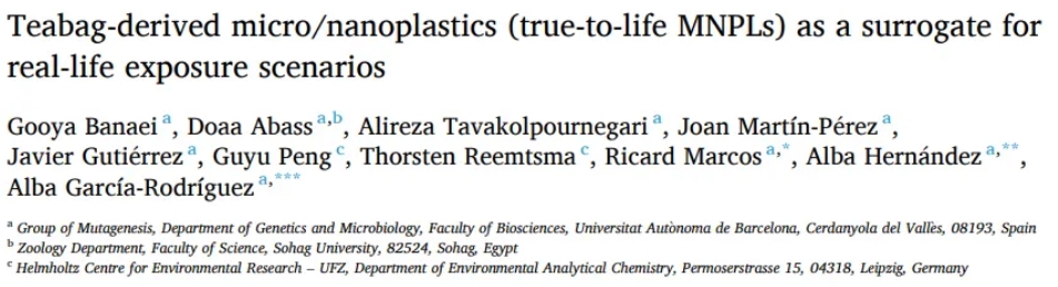 1735525072737256.png 01.png