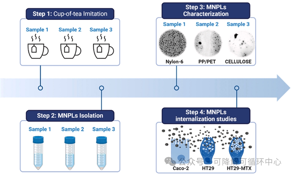 1735525082536308.png 02.png