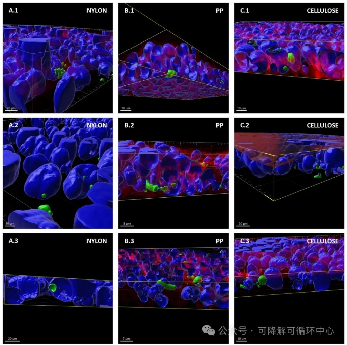 1735525101375071.png 05.png