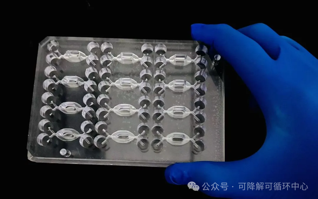 1736297851806020.png 01.png