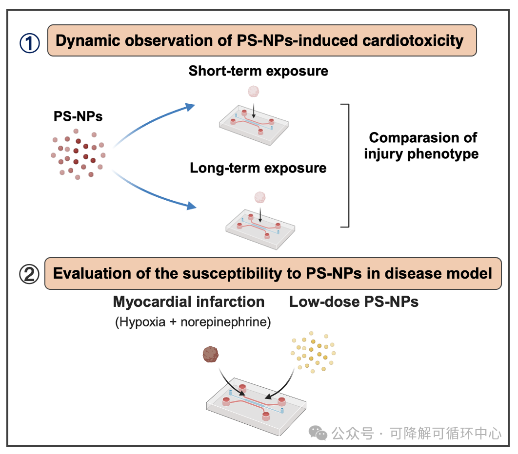 1736297884190294.png 03.png