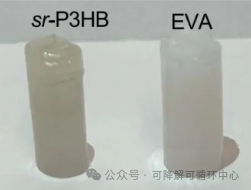 1737596971871591.png 02.png