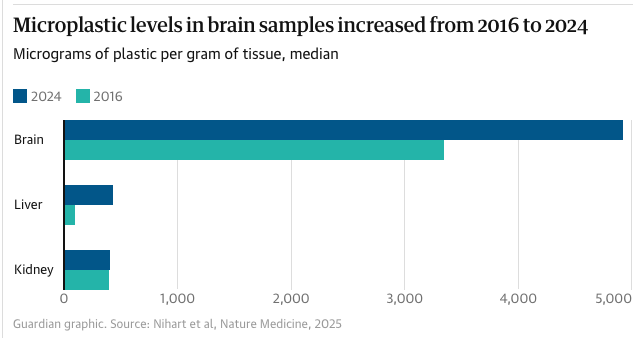 1738892385342543.png 01.png