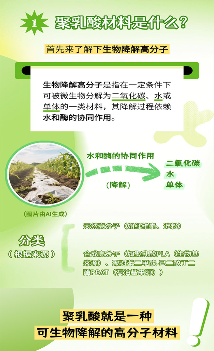 1752458033519458.jpg 03.jpg