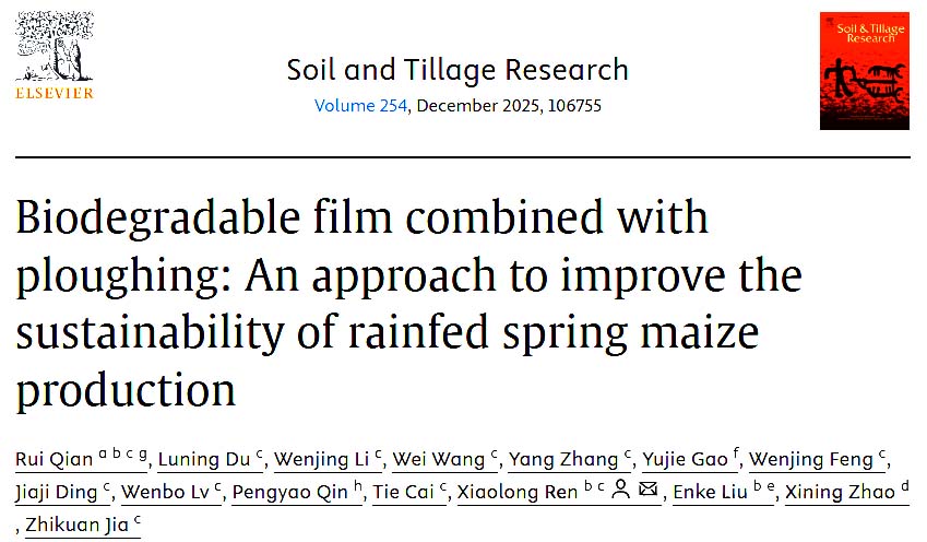 1754380376575806.jpg 01.jpg