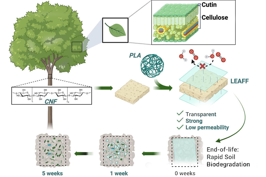 1757552611736453.jpg 022.jpg