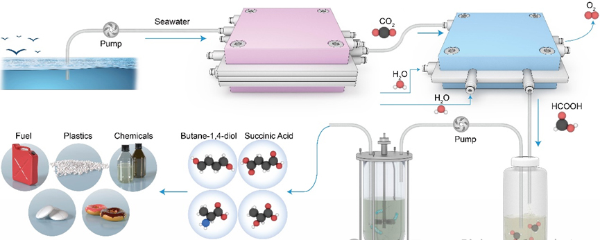 1760085619840051.jpg 03.jpg