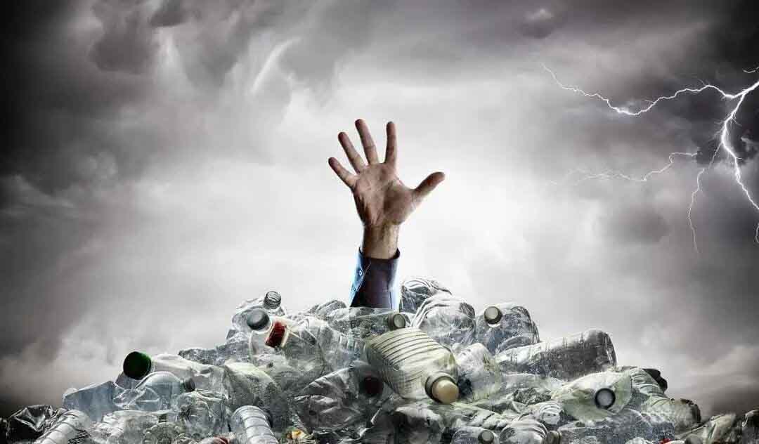 1762239470267523.jpg 01.jpg